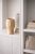 ChatGPT Image 31 sty 2026, 16_17_05.png