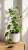 ChatGPT Image 14 cze 2026, 11_58_55.png