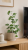 ChatGPT Image 14 cze 2026, 12_00_39.png