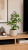 ChatGPT Image 14 cze 2026, 13_30_53.png