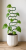 ChatGPT Image 14 cze 2026, 13_50_07.png