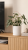 ChatGPT Image 14 cze 2026, 15_12_07.png