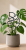 ChatGPT Image 14 cze 2026, 15_37_20.png