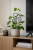 ChatGPT Image 14 cze 2026, 15_41_03.png