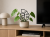 ChatGPT Image 14 cze 2026, 15_41_20.png