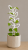 ChatGPT Image 15 cze 2026, 11_13_50.png
