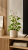 ChatGPT Image 15 cze 2026, 11_41_13.png