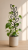 ChatGPT Image 15 cze 2026, 11_59_21.png
