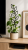 ChatGPT Image 15 cze 2026, 12_00_16.png