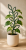 ChatGPT Image 15 cze 2026, 12_28_45.png
