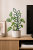 ChatGPT Image 15 cze 2026, 12_30_04.png