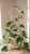 ChatGPT Image 15 cze 2026, 14_20_01.png
