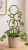 ChatGPT Image 15 cze 2026, 14_54_24.png
